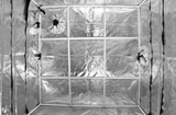 Gorilla Grow Tent 5' x 5'