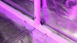 Gorilla Grow Tent 5' x 5'